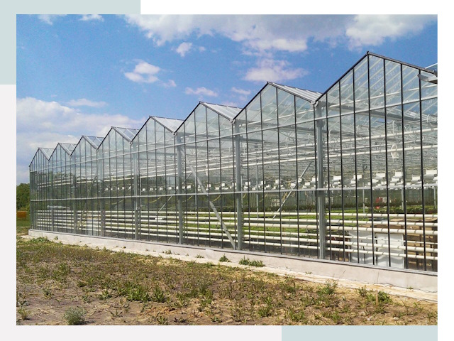 Строительство теплиц в Чистополь от 614 руб. за м²